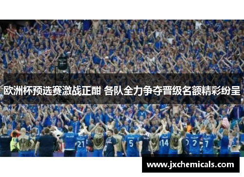 欧洲杯预选赛激战正酣 各队全力争夺晋级名额精彩纷呈